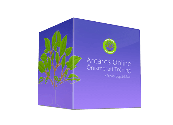 Antares Online Önismereti Tréning